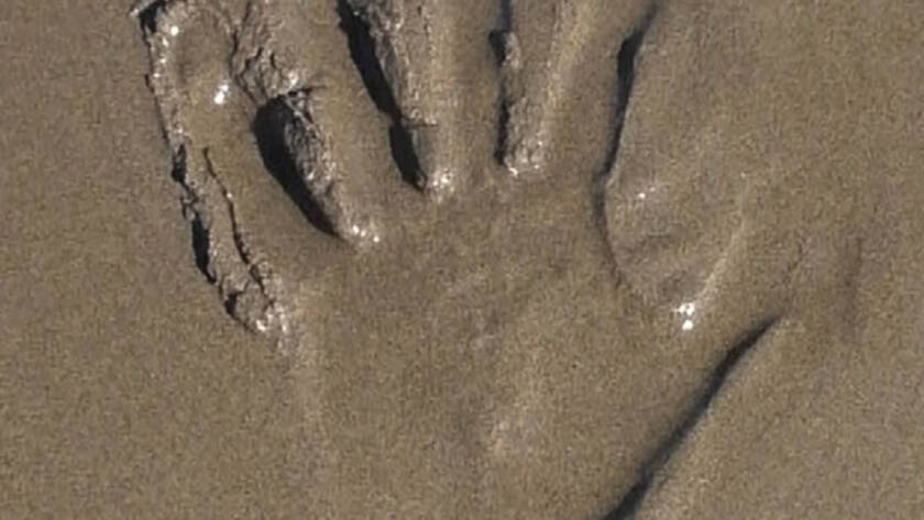 Projection du documentaire "Ma perception" de Benoît Maestre à Sète - RegardOcc - Collectif d’auteurs et réalisateurs en Occitanie